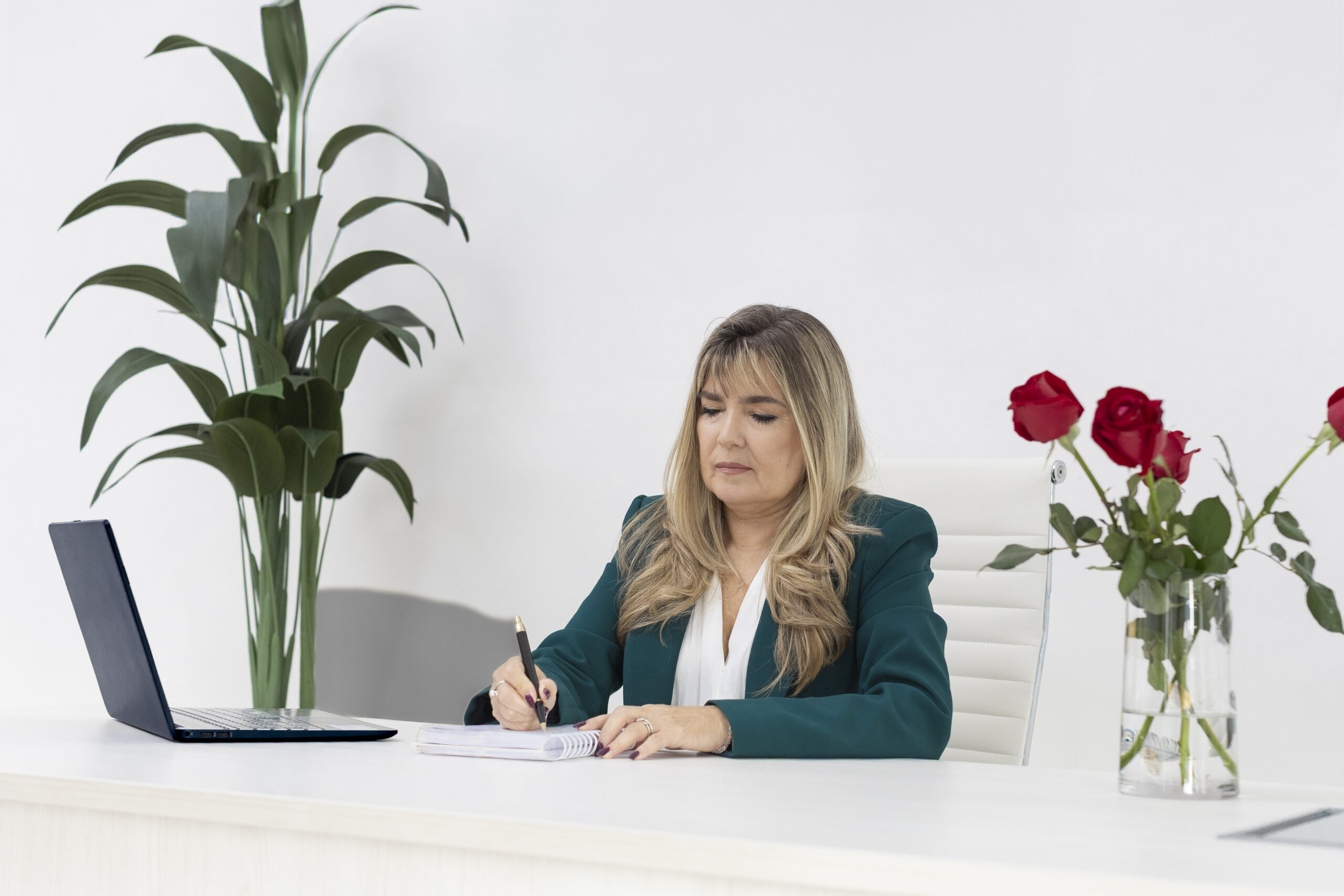 Silvia Cabrera - mente ágil
